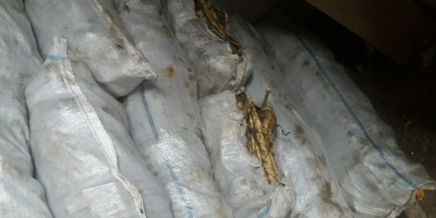 Vendo zanahorias y encurtidos