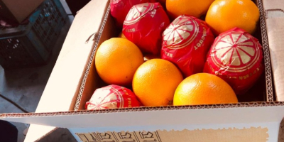 Venderé naranjas (Egipto) Egipto: United Horus para el fabricante