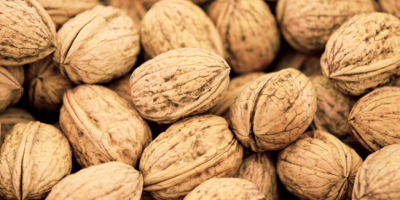 Venderé nueces de una parcela privada ubicada lejos de