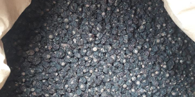 Tengo a la venta unos 1000 kg de grosella