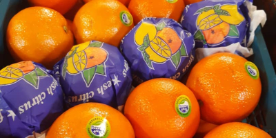 Venderé naranjas, país de origen Irán. Embalaje caja de