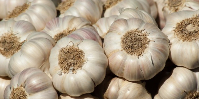 Detalles rápidos Tipo: Ajo Tipo de producto: Vegetales liliáceos