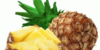 Pineapple Hardcore Corporation es el único nombre, que los