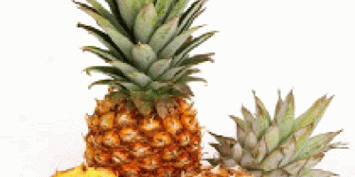 Pineapple Hardcore Corporation es el único nombre, que los