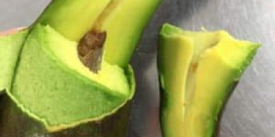 Los aguacates se llaman superalimentos por una buena razón: