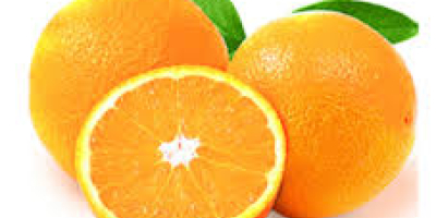 ¡Somos productores de naranjas en el sur de Grecia