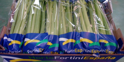Venderé apio sembrado de acuerdo con las pautas del