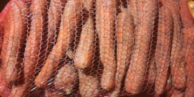 2. Venta: repollo rojo 1-3 kg, variedad para almacenamiento,