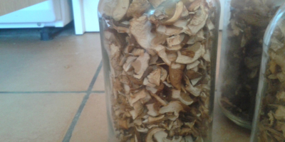 para la venta de setas boletus edulis secas de