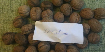 Vendemos nueces de Ucrania. Podemos poner la tuerca en