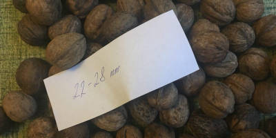 Vendemos nueces de Ucrania. Podemos poner la tuerca en