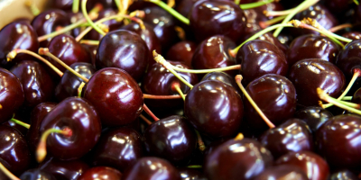 Un vendedor de cerezas y cerezas. Frutas al por