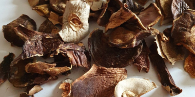 Boletus secos, en rodajas, 2019, orgánicos, 5 kg