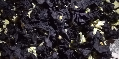 Venderé una flor de malva negra seca