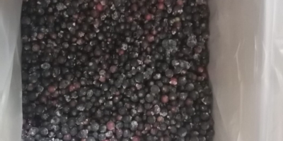 Venderé grosellas negras de Bielorrusia, congeladas, limpiadas mecánicamente. Tel.