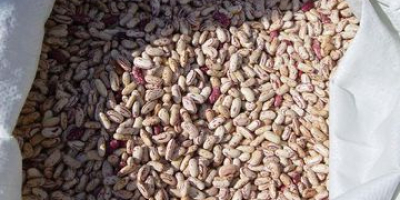 Nombre del producto Frijoles rojos manchados ligeros Tamaño 180-200,