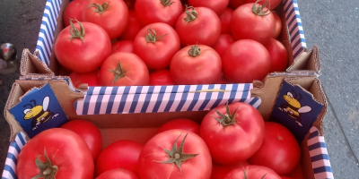 Hola, vendo tomate frambuesa 1 categoría BBB. CAMA Y