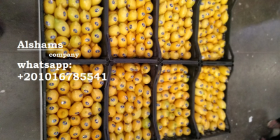 Compañía Alshams para importación y exportación general #fresh_lemon ●