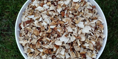 Hola. Venderé hongos porcini secos. Precio por 10 dag