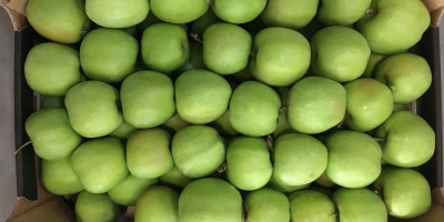 Venderé un lindo mutsu, una manzana limpia, sin granizo