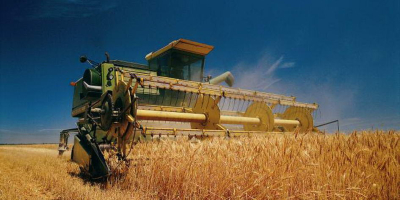 Producto: TRIGO Origen: EE.UU., Ucrania, Rusia Cantidad: 25000 -