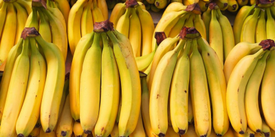 Exportamos según su necesidad el banano verde para alimentación