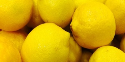 Nombre del producto Limón fresco Color Amarillo Grado Clase
