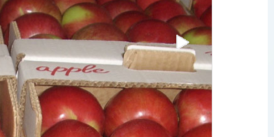 Mayor vendedor de manzanas frescas en todo el mundo.