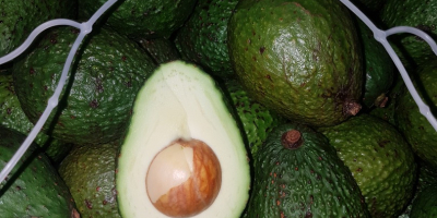 El precio de 500 kg de aguacate depende de