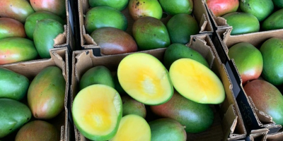 Mango 4kg 28 PLN El precio de la caja