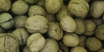 Venderé 3-4 bolsas grandes de nueces. Los niños se