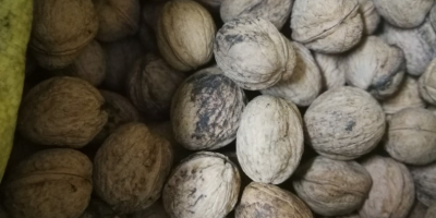 Venderé 3-4 bolsas grandes de nueces. Los niños se