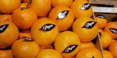 Venderé una naranja y una mandarina de España. Mercancías