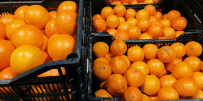 Venderé una naranja y una mandarina de España. Mercancías