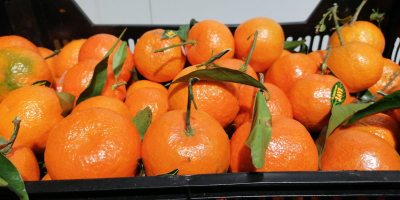 Venderé una naranja y una mandarina de España. Mercancías