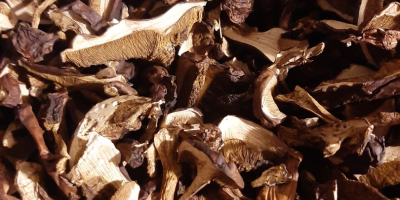 Venderé boletes de laurel secos, cortados, precio por kg