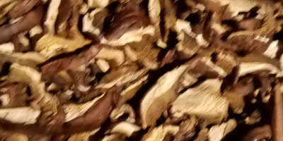 Venderé hongos secos. Boletus 180 PLN por kg 4