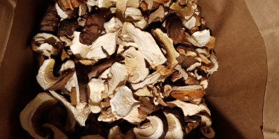 Venderé hongos secos. Boletus 180 PLN por kg 4