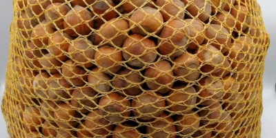 Venderé avellanas a granel. Variedad catalana. Nogal de huerto