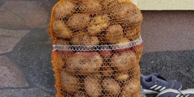 Venderé patatas Denar, saco de 15 Kg. Recién cavadas,