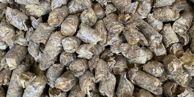 Los gránulos de paja se granularon con un Krone