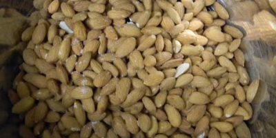 Almond Nuts Whatsapp: +13236413248 Precio: $ 2000 por TM