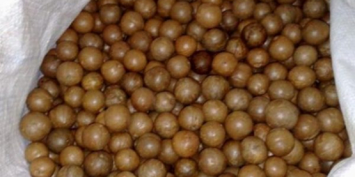 Nueces de macadamia Precio: $ 4000 por TM Materia