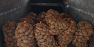 Patatas gelatinosas a la venta, precio negociable. Proporcionaré más