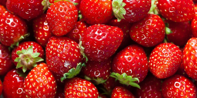 Venta de fresas congeladas de alta calidad de la