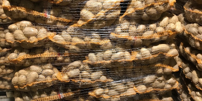 Venderé patatas Carrera, envasadas en sacos de 15 kg,