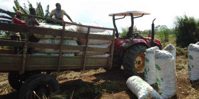 Somos un pequeño grupo agrícola que busca inversionista para