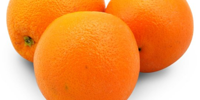 BIO Naranjas de una granja familiar local de Chalkidiki,
