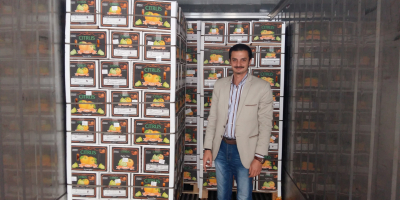 Capacidad de suministro: 16000 cajas / cajas por día