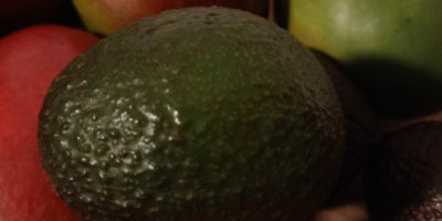 Hola, tengo aguacate y mango a la venta, más